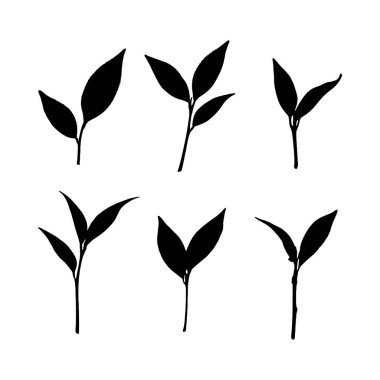 Altı eşsiz çay yaprağı filizi silueti, kendine özgü bir ressam stili sergiliyor..