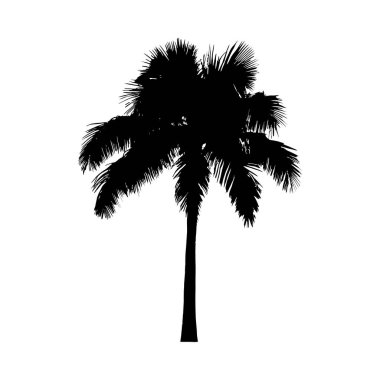 Ayrıntılı bir palmiye ağacı silueti, belirgin, basit bir stil sergiliyor, tropikal tasarımlar için mükemmel..