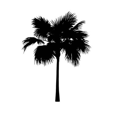 Ayrıntılı bir palmiye ağacı silueti, kendine özgü, stilize bir tasarım sergiliyor..