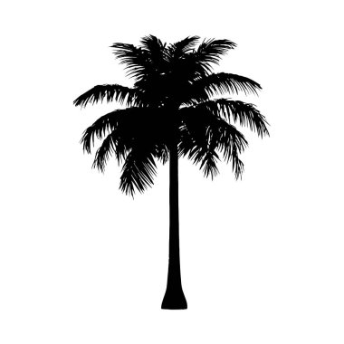 Ayrıntılı bir palmiye ağacı silueti, kendine özgü, resmedilmiş bir stili var..