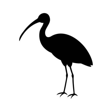 Ibis kuşunun sade, saf siyah silueti kendine özgü uzun gagası ve ince bacakları sergiliyor..