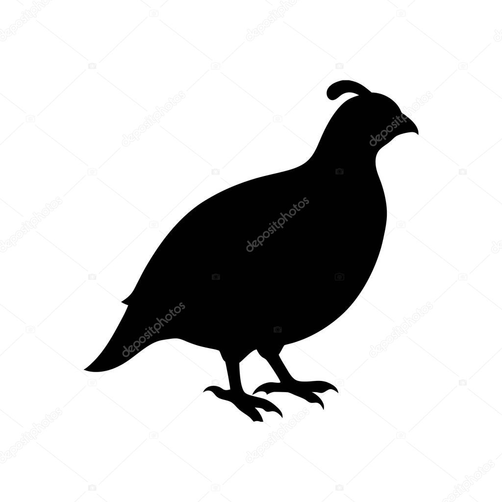 A simple, solid black silhouette of a quail, showcasing a distinctive profile view style.