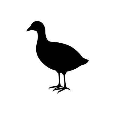 Su rayı kuşunun basit, zarif bir silueti, kendine özgü bir profil stili sergiliyor..