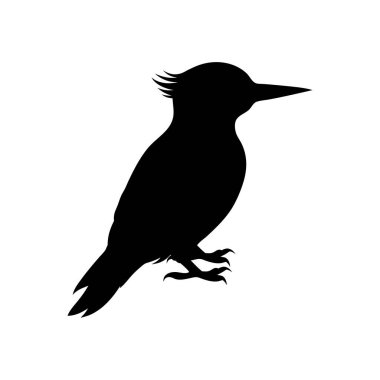 Çarpıcı bir siyah siluet, belirgin bir profil sergileyen ibikli bir kralbalıkçı silueti..