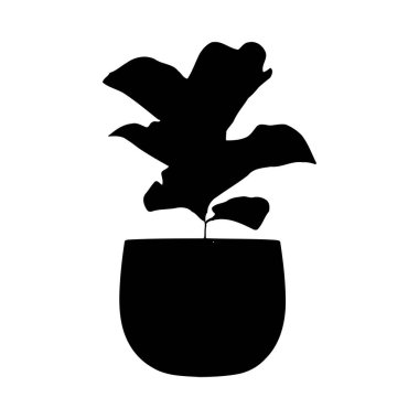 Beyaz arka planda basit bir tencerede keman yaprağı incir bitkisinin siyah silueti. Görüntü minimalist ve grafiksel..