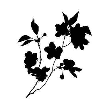 Beyaz bir arka planda çiçek açan bir dalın simsiyah bir silueti. Görüntü, basit ve zarif bir şekilde birkaç çiçek ve yaprak içerir. Tarz minimalist ve grafiksel..