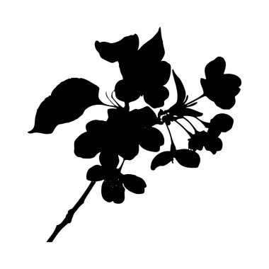 Beyaz arka planda bir elma dalının siyah silüeti. Görüntü, basit ve zarif bir şekilde detaylı yaprakları ve çiçekleri içeriyor. Genel ruh hali sakin ve minimalist..