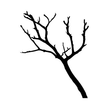 Beyaz bir arka planda çıplak bir ağaç dalının saf siyah silueti. Dal, dallanma şablonunda karmaşık detaylarla minimalist bir şekilde tasvir edilir. Genel havası basit ve kasvetli..