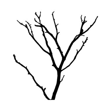 Beyaz bir arka planda çıplak bir ağacın simsiyah silueti. Dallar karmaşıktır ve yayılırlar. Minimalist ama detaylı bir görüntü oluştururlar. Biçim basit ve grafiksel.