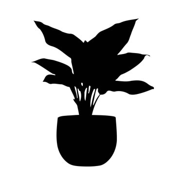 Beyaz bir arka planda yuvarlak bir saksıda siyah bir bitki silueti. Bitkinin büyük yaprakları ve basit ve minimal bir tarzı vardır. Görüntü koyu ve net..
