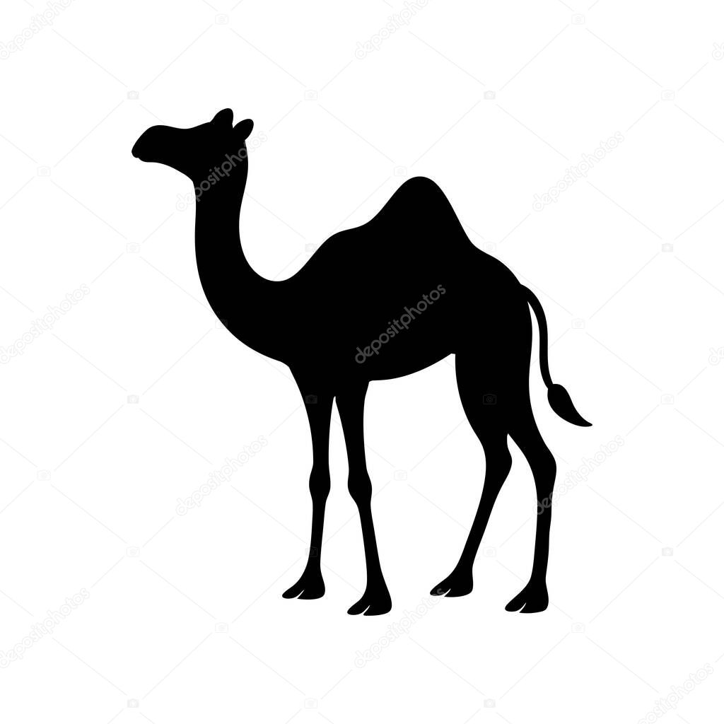 A simple, elegant dromedary camel silhouette, perfect for various design projects. The distinctive feature is its minimalist style.