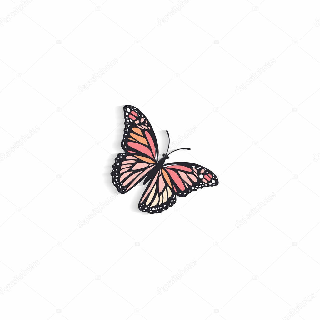 A delicate pink butterfly silhouette, distinguished by its unique shadow style and detailed wings.