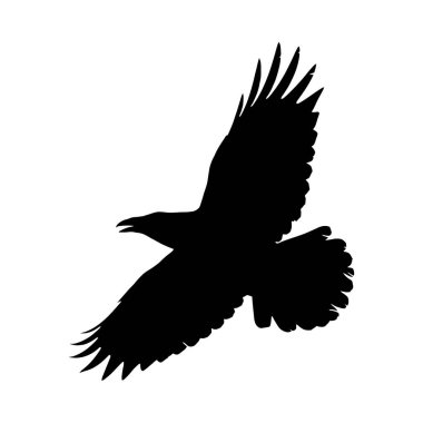 Uçan yırtıcı bir kuşun siyah bir silueti. Kanatları beyaz bir zemine yayılmış. Net detaylar ve canlı renkler görsel cazibeyi artırır.