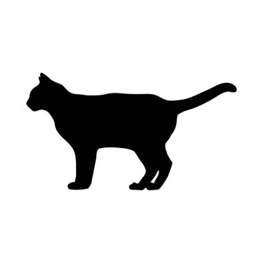 Beyaz arka planda kuyruğu dik duran evcil bir kedinin siyah silueti. Net detaylar ve canlı renkler görsel cazibeyi artırır.