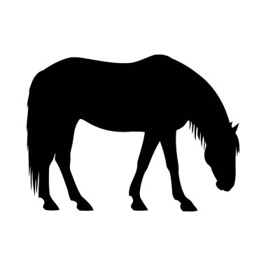 Beyaz bir arka planda izole edilmiş, başı sıyrılmak için eğilmiş bir atın silueti. Net detaylar ve canlı renkler görsel cazibeyi artırır.