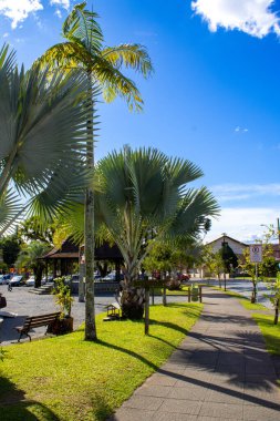 Bereketli yeşil çimenlerin, ağaçlarla kaplı dağların ve canlı mavi gökyüzünün bulunduğu çarpıcı bir doğal manzara. Sahne sükunet, tazelik ve dokunulmamış doğanın güzelliğini yayar..