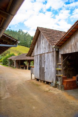 Bereketli yeşillikler, ağaçlar ve açık arazilerle çevrili toprak bir yolun bulunduğu huzurlu bir kır manzarası. Güneşli bir günde canlı, mavi bir gökyüzü altında yakalanan bu manzara huzur ve sadelik saçar..