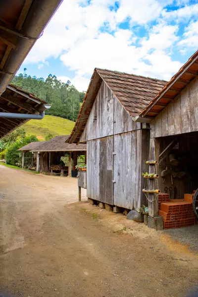 Bereketli yeşillikler, ağaçlar ve açık arazilerle çevrili toprak bir yolun bulunduğu huzurlu bir kır manzarası. Güneşli bir günde canlı, mavi bir gökyüzü altında yakalanan bu manzara huzur ve sadelik saçar..