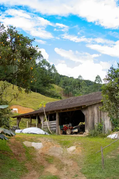 Eski yarı keresteli (Fachwerk) bir ev, açık mavi gökyüzü ile güneşli bir günde, geleneksel Alman tarzı mimari sergilenmektedir. Kültürel mirasın ve zamansız cazibenin resimsel bir sembolü..
