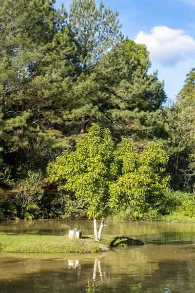 Açık havada tenis sahasının detaylı bir görüntüsü, ağın dokusunu ve sporun sakin, rekabetçi atmosferini vurguluyor. Spor veya eğlence temaları için ideal.