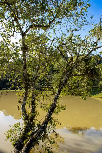 Açık havada tenis sahasının detaylı bir görüntüsü, ağın dokusunu ve sporun sakin, rekabetçi atmosferini vurguluyor. Spor veya eğlence temaları için ideal.