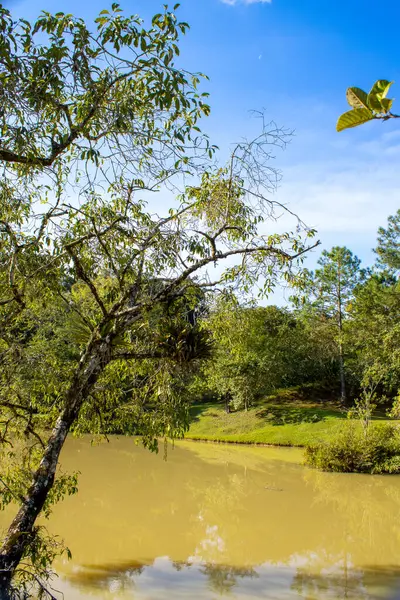 Açık havada tenis sahasının detaylı bir görüntüsü, ağın dokusunu ve sporun sakin, rekabetçi atmosferini vurguluyor. Spor veya eğlence temaları için ideal.