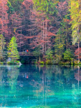 Turuncu ve kırmızı ağaçlar İsviçre 'deki Blausee Gölü' nün sularını çerçevelerken, arka planda sessizce duran bir çift de.