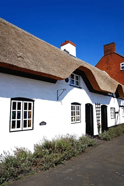 Burton Trent August 2020 Pretty Traditional English Whitewashed Thatched Cottage — 图库照片