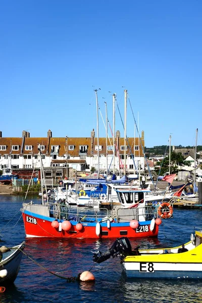 Axmouth Reino Unido Agosto 2022 Barcos Pesca Yates Amarrados Largo — Foto de Stock
