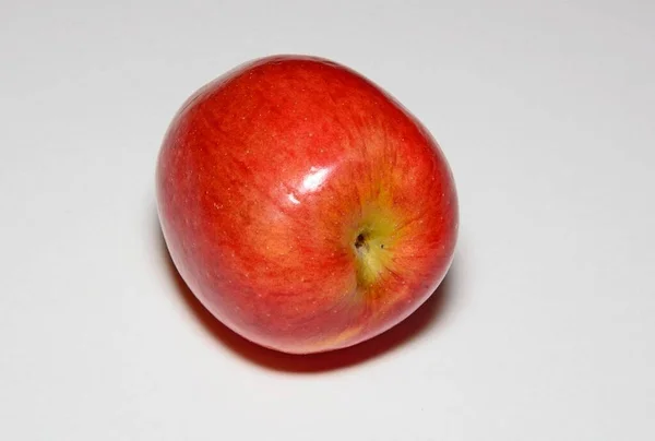 单瓣玫瑰红色爵士苹果 白色背景 — 图库照片