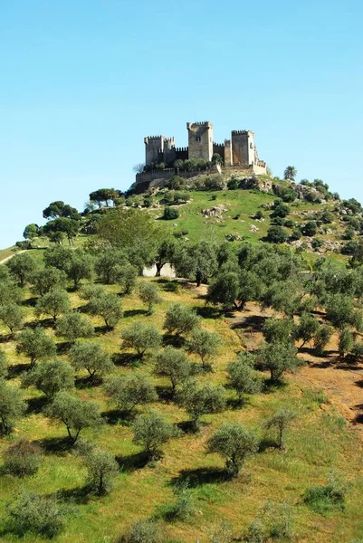 stock image View of the Castle on top of the hill, Almodovar del Rio, near Cordoba, Cordoba Province, Andalucia, Spain, Europe.