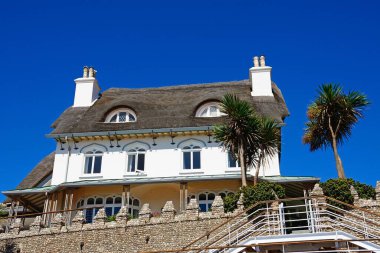 Sahile bakan geleneksel sazdan ev manzarası ön planda yuccalarla Sidmouth, Devon, İngiltere, Avrupa
