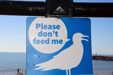 SIDMOUTH, UK - AĞUSTOS 08, 2022 - Pennington Point, Sidmouth, Devon, İngiltere, Avrupa, 08 Ağustos 2022 'de sahile ve kayalıklara bakan Wally tabelası nerede?.