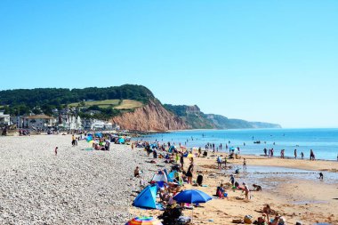 SIDMOUTH, İngiltere - 08 Ağustos 2022 - Kasaba ve kayalıklara bakan turistler, Sidmouth, Devon, İngiltere, Avrupa, 08 Ağustos 2022.
