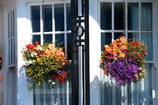 Pretty Flowers Hanging Baskets Front Building Promenade Sidmouth Devon Europe — Stock Photo, Image