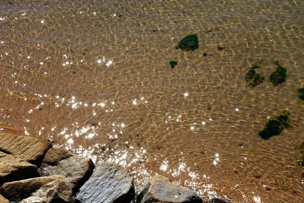 Sidmouth Devon Ngiltere Avrupa Kayalarla Sığ Deniz Suyuna Bakın — Stok fotoğraf