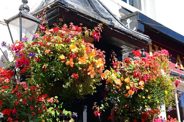 SIDMOUTH, UK - AUGUST 08, 2022 - Pretty hanging baskets on the front of the Anchor Inn along Old Fore Street in the town centre, Sidmouth, Devon, UK, Europe, August 08, 2022.