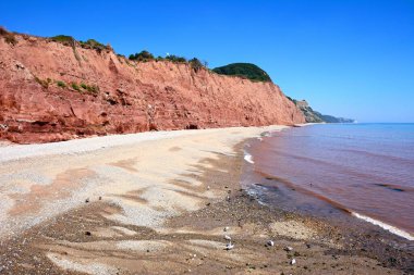 Pennington Point, Sidmouth, Devon, İngiltere ve Avrupa 'daki sahil manzarası.