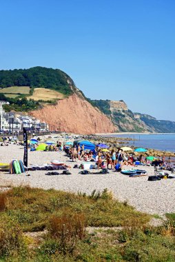 SIDMOUTH, İngiltere - 11 Ağustos 2022 - Şehir binalarına ve Pennington Point, Sidmouth, Devon, İngiltere, Avrupa, 11 Ağustos 2022 'deki uçurumlara bakan turistler plajda dinleniyor.