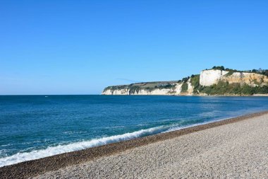Bira Başı, Seaton, Devon, İngiltere, Avrupa 'ya doğru çakıl taşı plajı boyunca görünüm.