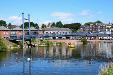 EXETER, UK - 22 AĞUSTOS 2023 - Cricklepit asma köprüsü ön planda kuğular ve köprünün altında bir pedalla, Exeter, Devon, İngiltere, Avrupa, 22 Ağustos 2023.