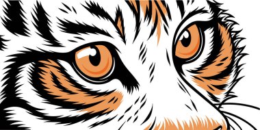 Büyük gözler. # Kırmızı ve sarı kaplanın gözleri #. 