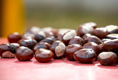 taze kestane arka plan