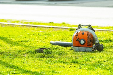 İşçi yaprakları elektrikli süpürgeyle temizler, sonbahar, yaprak temizleme, park, açık hava