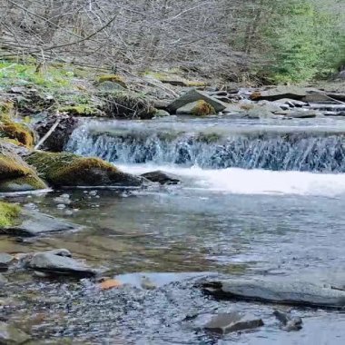 Ormanın ortasında bir şelale