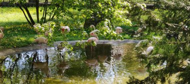 Doğanın güzel manzarası