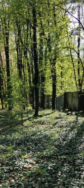 Köyde terk edilmiş eski bir ev.