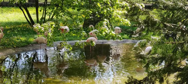 Doğanın güzel manzarası