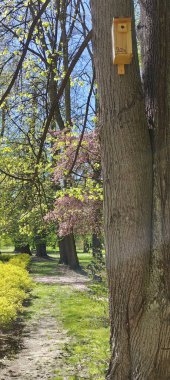 Parktaki eski ahşap ev.