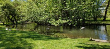 Yazın parkın şehri.